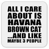 All I Care About Is Havana Brown Cat - Drink Coaster
