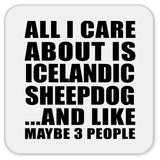 All I Care About Is Icelandic Sheepdog - Drink Coaster