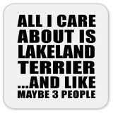 All I Care About Is Lakeland Terrier - Drink Coaster