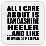All I Care About Is Lancashire Heeler - Drink Coaster