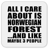 All I Care About Is Norwegian Forest - Drink Coaster