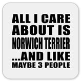All I Care About Is Norwich Terrier - Drink Coaster