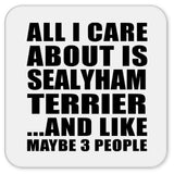 All I Care About Is Sealyham Terrier - Drink Coaster