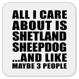 All I Care About Is Shetland Sheepdog - Drink Coaster