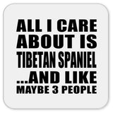All I Care About Is Tibetan Spaniel - Drink Coaster
