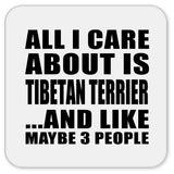 All I Care About Is Tibetan Terrier - Drink Coaster