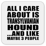 All I Care About Is Transylvanian Hound - Drink Coaster