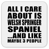 All I Care About Is Welsh Springer Spaniel - Drink Coaster