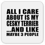 All I Care About Is My Cesky Terrier - Drink Coaster