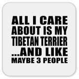 All I Care About Is My Tibetan Terrier - Drink Coaster
