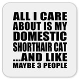All I Care About Is My Domestic Shorthair Cat - Drink Coaster