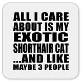 All I Care About Is My Exotic Shorthair Cat - Drink Coaster