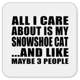All I Care About Is My Snowshoe Cat - Drink Coaster