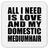 All I Need Is Love And My Domestic Mediumhair - Drink Coaster