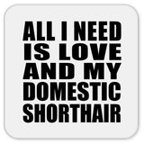 All I Need Is Love And My Domestic Shorthair - Drink Coaster