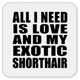 All I Need Is Love And My Exotic Shorthair - Drink Coaster