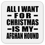 All I Want For Christmas Is My Afghan Hound - Drink Coaster