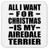 All I Want For Christmas Is My Airedale Terrier - Drink Coaster