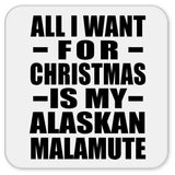 All I Want For Christmas Is My Alaskan Malamute - Drink Coaster