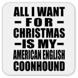 All I Want For Christmas Is My American English Coonhound - Drink Coaster