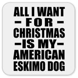 All I Want For Christmas Is My American Eskimo Dog - Drink Coaster