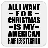 All I Want For Christmas Is My American Hairless Terrier - Drink Coaster