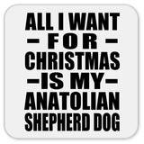 All I Want For Christmas Is My Anatolian Shepherd Dog - Drink Coaster