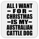 All I Want For Christmas Is My Australian Cattle Dog - Drink Coaster
