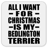 All I Want For Christmas Is My Bedlington Terrier - Drink Coaster