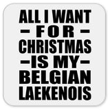 All I Want For Christmas Is My Belgian Laekenois - Drink Coaster