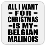 All I Want For Christmas Is My Belgian Malinois - Drink Coaster