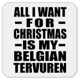 All I Want For Christmas Is My Belgian Tervuren - Drink Coaster