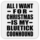 All I Want For Christmas Is My Bluetick Coonhound - Drink Coaster