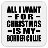 All I Want For Christmas Is My Border Collie - Drink Coaster