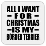 All I Want For Christmas Is My Border Terrier - Drink Coaster