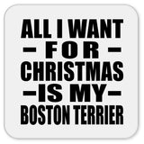 All I Want For Christmas Is My Boston Terrier - Drink Coaster