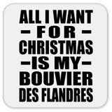 All I Want For Christmas Is My Bouvier Des Flandres - Drink Coaster