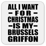 All I Want For Christmas Is My Brussels Griffon - Drink Coaster