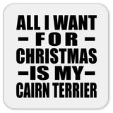 All I Want For Christmas Is My Cairn Terrier - Drink Coaster