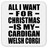 All I Want For Christmas Is My Cardigan Welsh Corgi - Drink Coaster