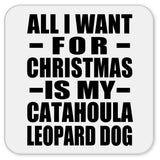 All I Want For Christmas Is My Catahoula Leopard Dog - Drink Coaster