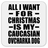 All I Want For Christmas Is My Caucasian Ovcharka Dog - Drink Coaster