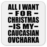 All I Want For Christmas Is My Caucasian Ovcharka - Drink Coaster