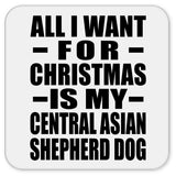 All I Want For Christmas Is My Central Asian Shepherd Dog - Drink Coaster