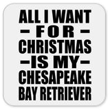 All I Want For Christmas Is My Chesapeake Bay Retriever - Drink Coaster