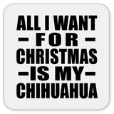 All I Want For Christmas Is My Chihuahua - Drink Coaster