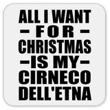 All I Want For Christmas Is My Cirneco Dell'etna - Drink Coaster