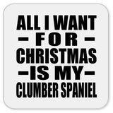 All I Want For Christmas Is My Clumber Spaniel - Drink Coaster