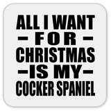 All I Want For Christmas Is My Cocker Spaniel - Drink Coaster