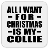 All I Want For Christmas Is My Collie - Drink Coaster